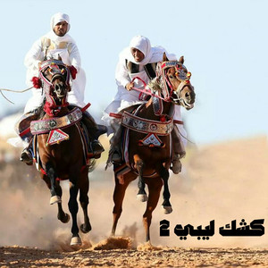 كشك ليبي 2