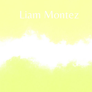 Neon Wilderness by Liam montez