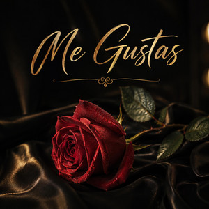 Me Gustas by 27is
