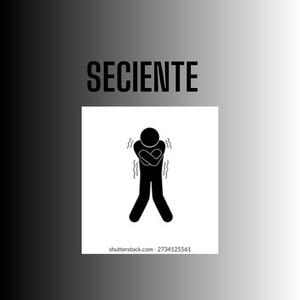 seciente by LA FLAUTTA