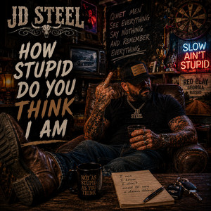 How Stupid Do You Think I Am by JD Steel