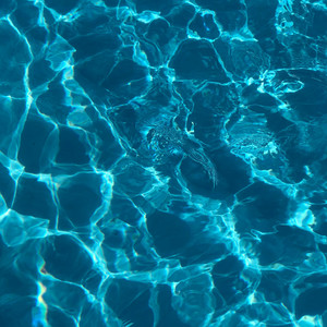 Poolside Glistening by Monte Delfino