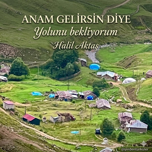 ANAM GELİRSİN DİYE by Halil Aktaş