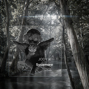 Sycamore by Jody R