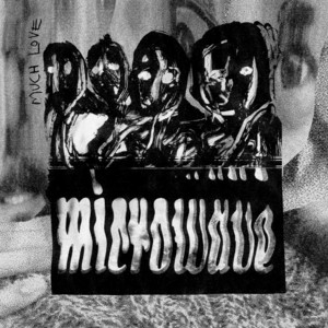 Dull - Acoustic by Microwave