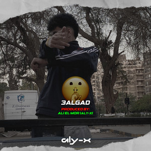 3Algad - عالجد