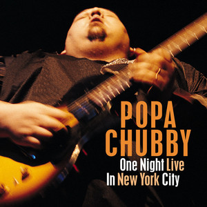 chubby DVD in concert popa 新品未開封