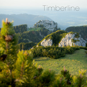 Timberline by Grisp