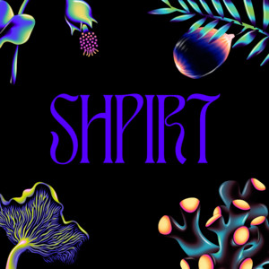 DJ Tortinho - Shpirt