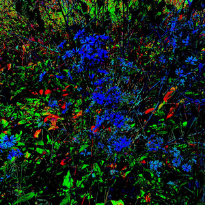Long, Ghostly Corridors by The Intangible