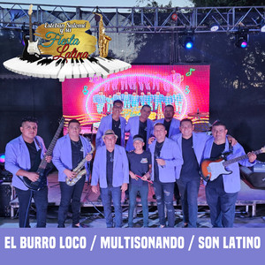 El Burro Loco / Multisonando / Son Latino