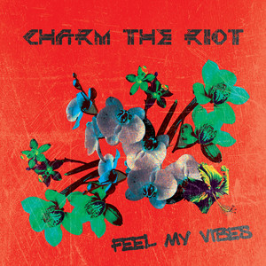 Reflections by Charm the Riot