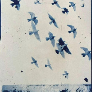 Portada de Wiseman