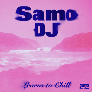 Samo DJ — Learns to Chill (2026)