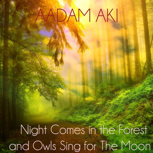 Night Comes in the Forest and Owls Sing for the Moon