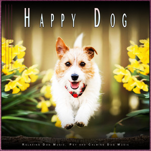 Sleeping Music for Dogs by Franklin Frenchie