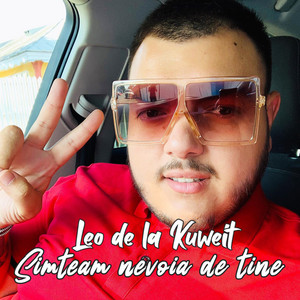 Leo de la Kuweit - Simteam nevoia de tine