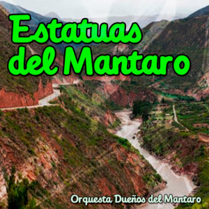Estatuas del Mantaro by Orquesta Dueños del Mantaro