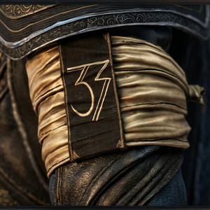Expedición 33