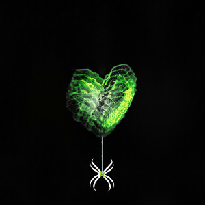 Kryptonite by Spencer Flay, X4