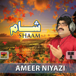 Ameer Niyazi - Jam