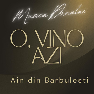 Alin din Barbulesti - O, Vino Azi!