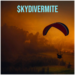 Can't Take by Skydivermite, Emw Smokey, PaPa Guap, 2yung2guns
