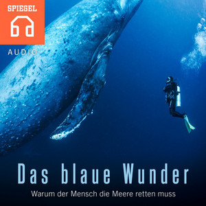 Das blaue Wunder (Warum der Mensch die Meere retten muss)