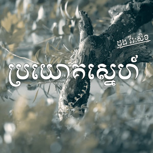 ប្រយោគស្នេហ៍ by ដួង វីរៈសិទ្ធ