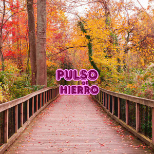 Pulso De Hierro by Ryzven