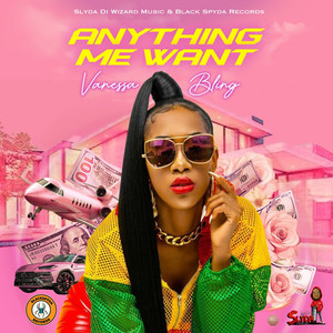 Anything Me Want by Vanessa Bling