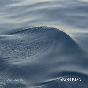 Moving In by Aron Risa