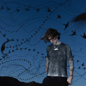 Broken Wings by No Love For The Middle Child