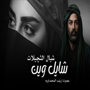 زينب المحمداويه - شايل وين (شيال الثجليات)