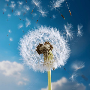 Wind by Lukiiii