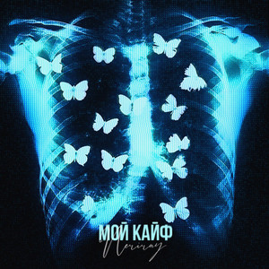 Мой кайф