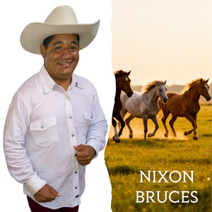 La Perdí por el Licor by Nixon Bruces