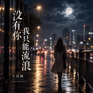 没有你我只能流浪 - 带着遗憾 by 王清楠