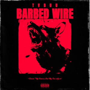 BARBED WIRE by Tvbuu