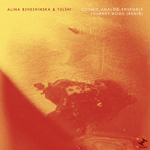 Alina Bzhezhinska — Journey Home (Remix) (2026)