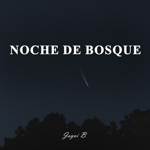 Forest Night - Acoustic by Dj Jayvi B