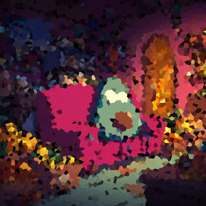 Homelands by b3droom volume, Avocuddle