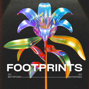 FOOTPRINTS by DJ BOTAFOGO