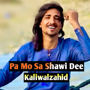 Kaliwal Zahid - Pa Mo Sa Shawi Dee