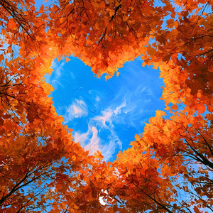 Autumn Leaves by Tundra Beats