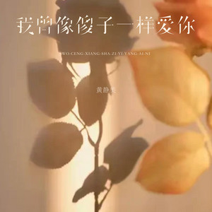 黄静美 - 我曾像傻子一样爱你 (DJEva版伴奏)