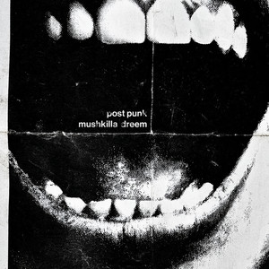 Mushkilla — Post Punk (2026)