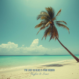 I'm Lost In Blue - T-Pam Remix by Taylor & Sons, T-Pam
