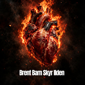Brent Barn Skyr Ilden by Sondrey