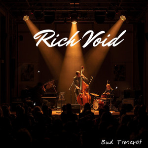 Rich Void by Bud Timerot